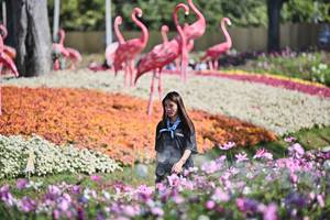 BIB: 
                            <button type="button" onclick="openModal(27793094)" class="btn btn-primary btn-sm float-right btn-popup" data-toggle="modal" data-target=".modal-high-quality">
                        <i class="fas fa-shopping-cart"></i> Add to Cart
                    </button>
                                            <button type="button" onclick="isThisMe(27793094, true)" class="btn btn-success btn-sm float-right btn-popup btn-isme hidden" data-toggle="tooltip" data-placement="bottom" title="นี่คือรูปของคุณใช่ไหม คลิกที่นี่เพื่อเอาเข้าอัลบั้ม">
                        <i class="fas fa-plus"></i> Add to album
                    </button>
                    <button type="button" onclick="isThisMe(27793094, false)" class="btn btn-warning btn-sm float-right btn-popup btn-isnotme hidden">
                        <i class="fas fa-ban"></i> Remove from album
                    </button>